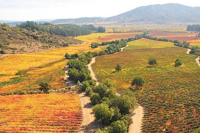 Casablanca Wine Tour with Valparaiso and Viña del Mar - Casablanca Valley and Three Chilean Wine Tastings