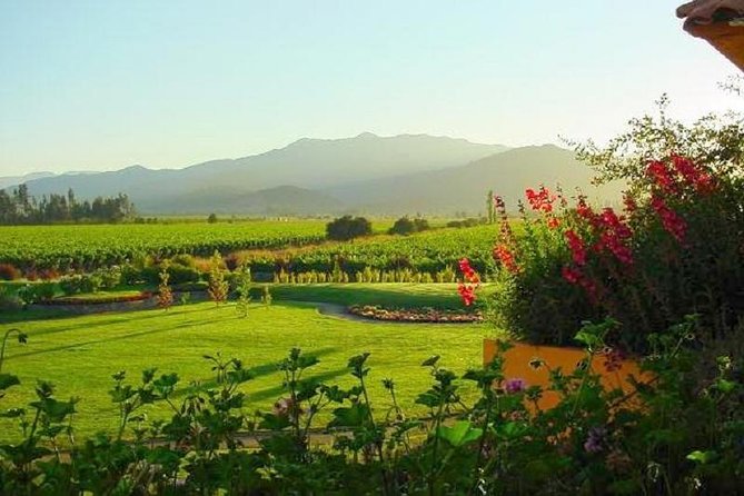 Casablanca Wine Tour with Valparaiso and Viña del Mar - Roca Oceanica and the 25-Kilometer Coastal Drive