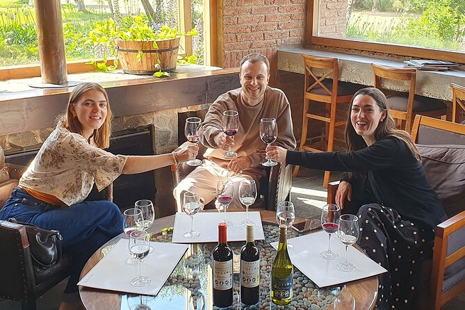 Casablanca world class wines, 4 vineyards & Tanino lunch stop - The pace, group size, and practical details