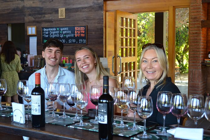 Casablanca world class wines, 4 vineyards & Tanino lunch stop - Viñamar: sparkling wine and a different style