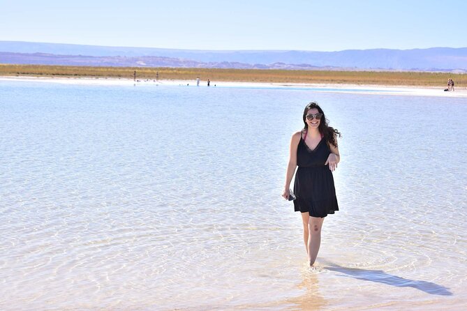 Cejar Eyes of the Salt Lake and Tebenquiche Lake Tour - Key points at a glance