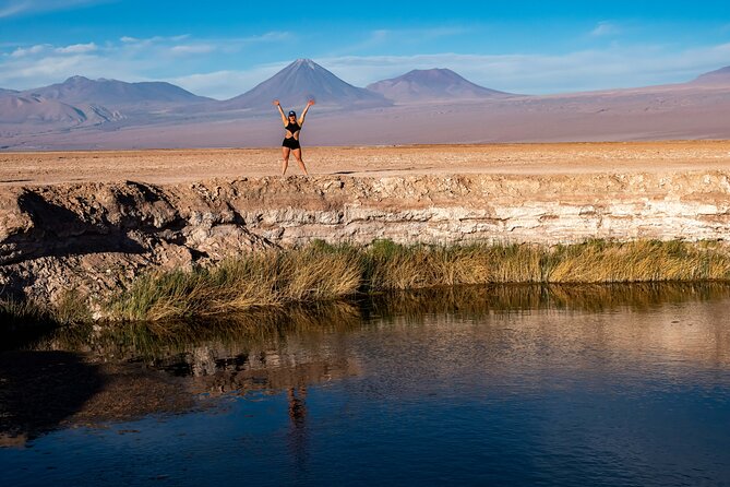 Cejar Eyes of the Salt Lake and Tebenquiche Lake Tour - Why this salt-lagoon trip is worth your afternoon