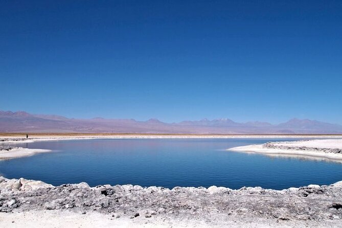 Cejar Lagoon and Ojos del Salar with Tebinquiche Tour - Timing, age limits, and what to pack