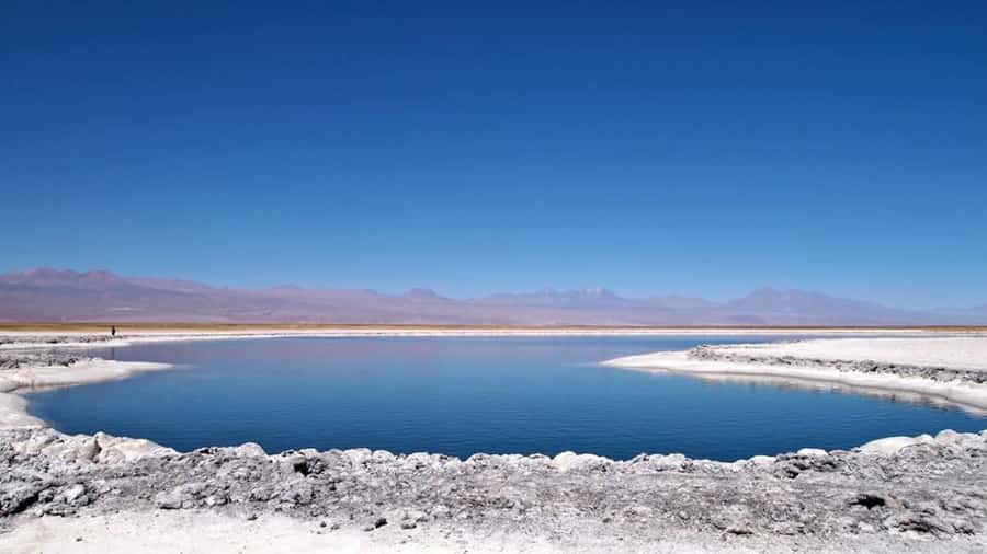 Cejar Lagoon, Tebenquiche Lagoon and Ojos del Salar - Cejar Lagoon: the place to float