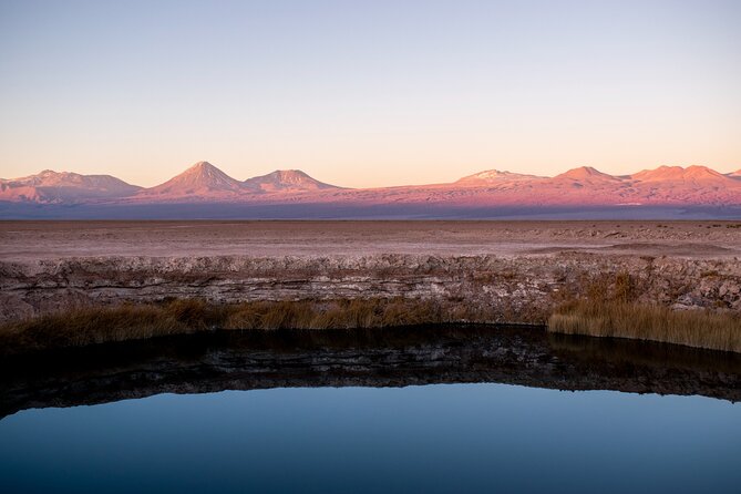 Cejar Lagoon, Tebinquiche Tour and Ojos del Salar from San Pedro de Atacama - The guide, language, and level of activity