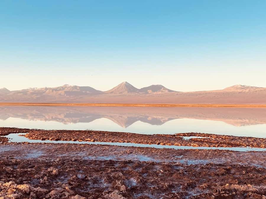 Cejar Lagoon Tour: San Pedro de Atacama - Key things to know before you book