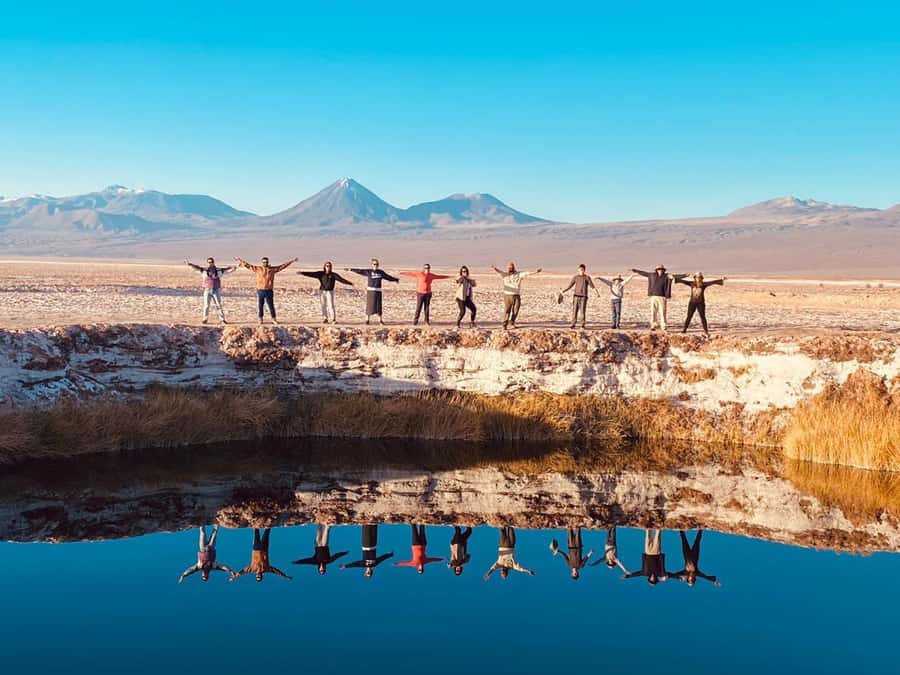 Cejar Lagoon Tour: San Pedro de Atacama - Why this half-day outing works well