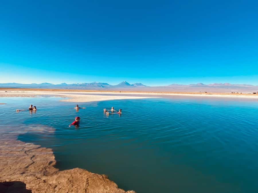Cejar Lagoon Tour: San Pedro de Atacama - The drive from San Pedro to Cejar Lagoon