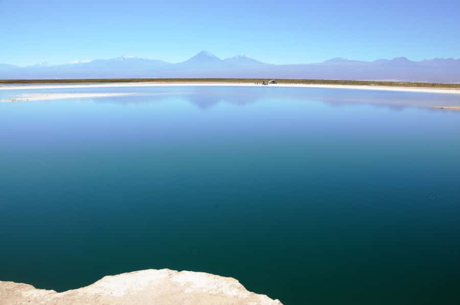 Cejar & Tebenquiche Lagoons Tour with Ojos del Salar Atacama - Key things to know before you go