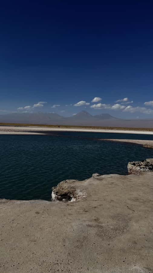 Cejar & Tebenquiche Lagoons Tour with Ojos del Salar Atacama - Why these Atacama lagoons are worth your time