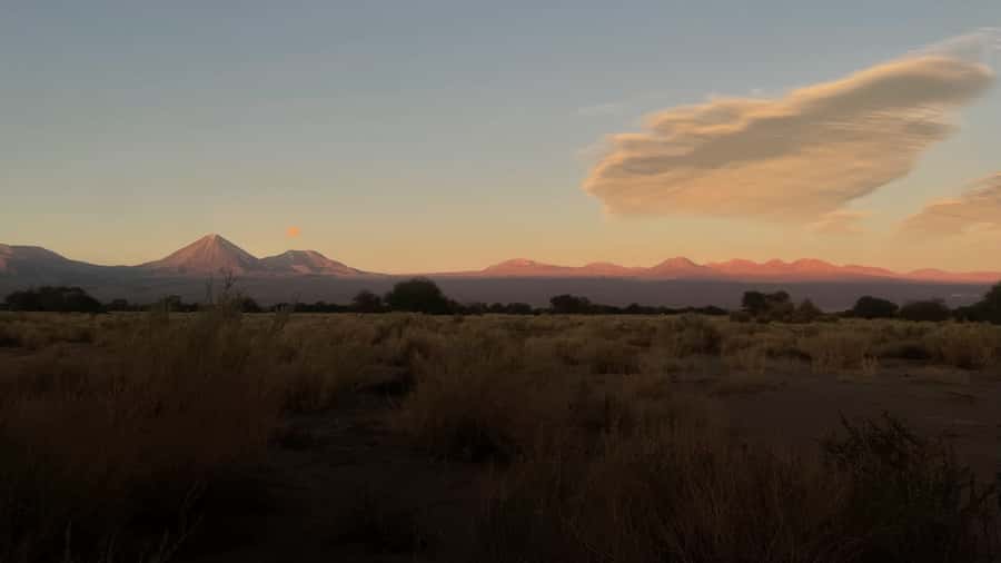 Cejar & Tebenquiche Lagoons Tour with Ojos del Salar Atacama - Cejar Lagoon and its salt-crystal rim