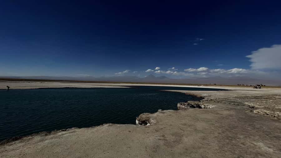 Cejar & Tebenquiche Lagoons Tour with Ojos del Salar Atacama - Walking around Tebenquiche Lagoon