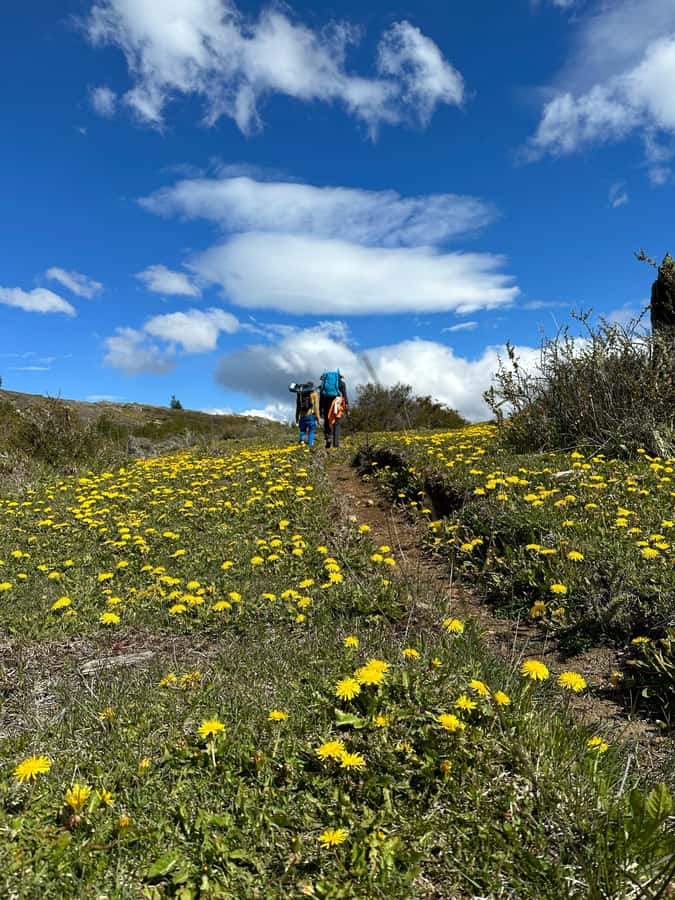 Cerro Castillo: Patagonia Mountain Trekking to the Lagoon - Who should book this trek?
