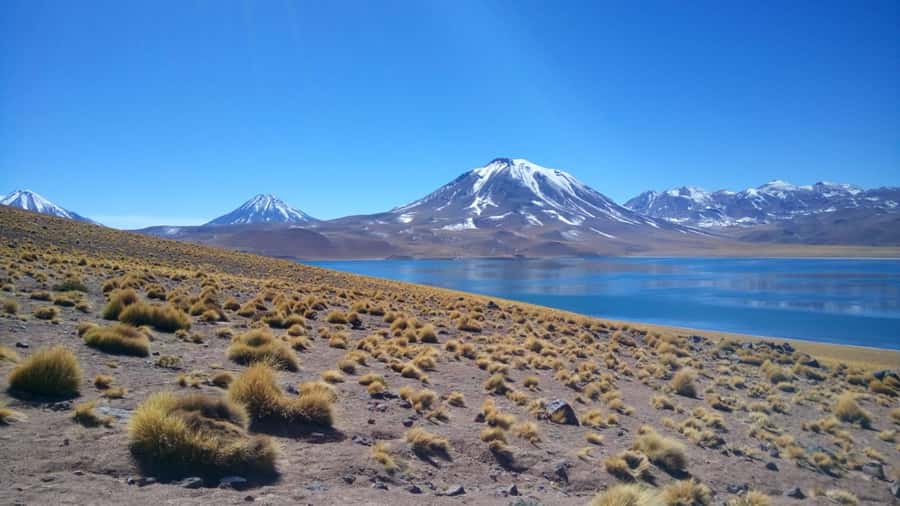 Chile: Tour Red stones + Altiplanic Lagoons + Laguna Chaxa - Key points at a glance