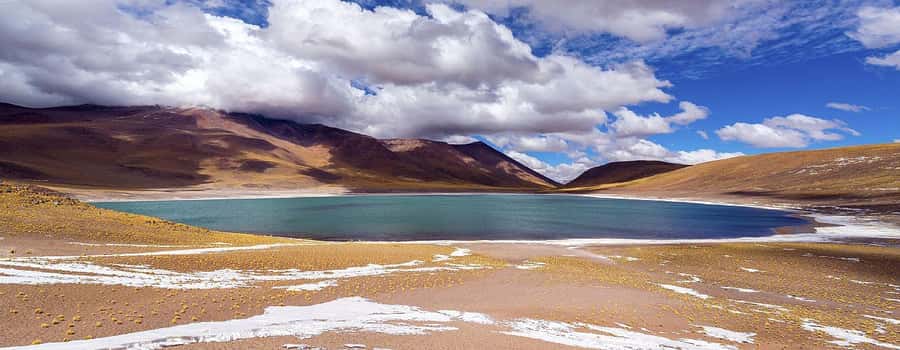 Chile: Tour Red stones + Altiplanic Lagoons + Laguna Chaxa - Laguna Chaxa turns the salt flat into a wildlife stop