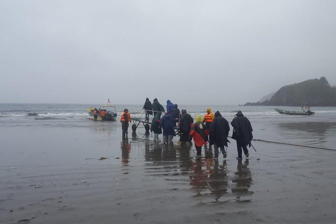 Chiloe Island - Puñihuil Tour - What the $90 price really covers