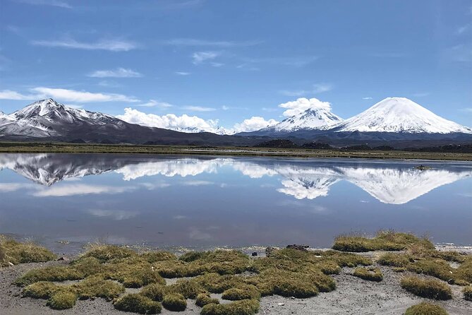 Chungará Lake & Lauca Park Tour from Arica with Lunch - Lunch and a Second Look at Putre