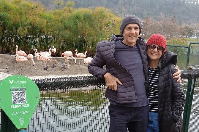 City tour by Santiago of Chile -A beautiful experience - Half day - Starting at 11:30 a.m. with hotel pickup