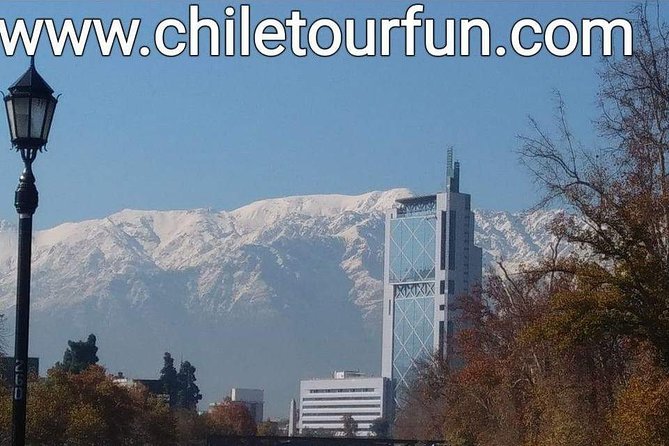 City Tour Santiago plus Santa Rita Vineyard - The vineyard visit and wine tasting