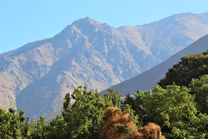 Classic Elqui Valley (Between vineyards and fruit trees) - Vicuña: Gabriela Mistral and the valley’s central town
