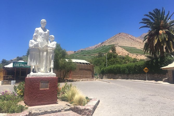 Classic Elqui Valley (Between vineyards and fruit trees) - Lunch in a local restaurant