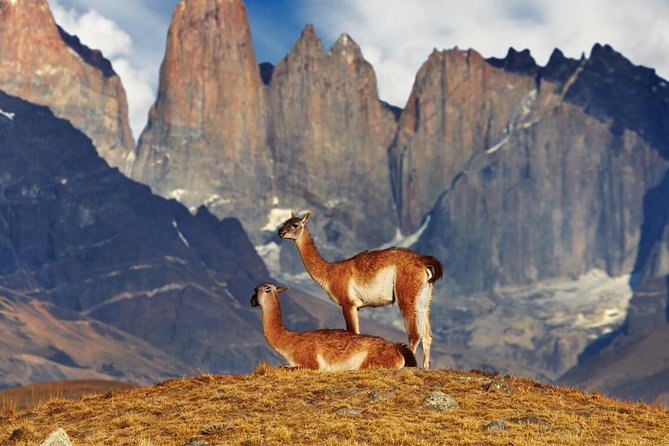 Classic W Circuit - Torres del Paine - French Valley and Paine Grande on Day 3