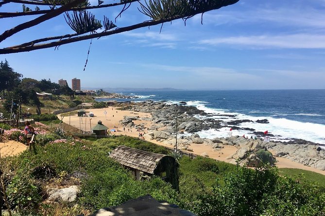 Coastal Charms and Vineyard Bliss with Isla Negra & Undurraga - Four pours at Viña Undurraga