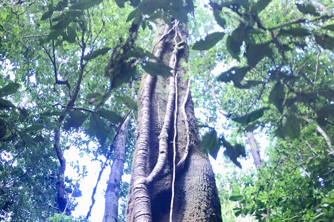 Cochamo Hike Day trip. - Is $260 a fair price?