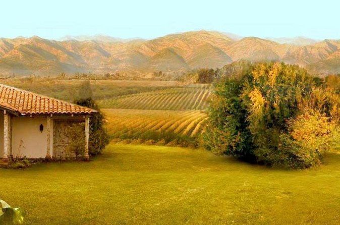 Colchagua Full Day Wine Tour: Casa Silva & L'Apostolle Wineries - Why Colchagua works as a day trip from Santiago