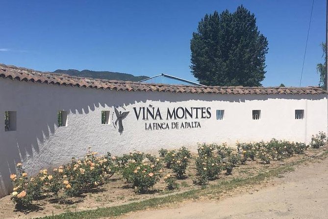 Colchagua Valley - Four hours among Colchagua vineyards