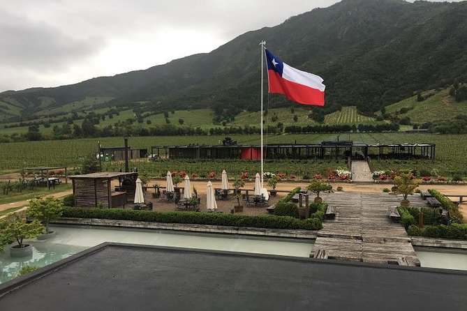 Colchagua Valley - Laura Hastings and the strongest tasting report