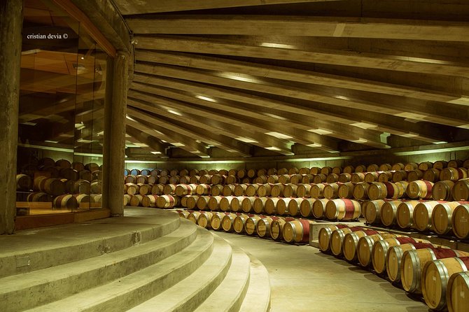Colchagua Valley Experience - Viña Neyen de Apalta and its heritage vines