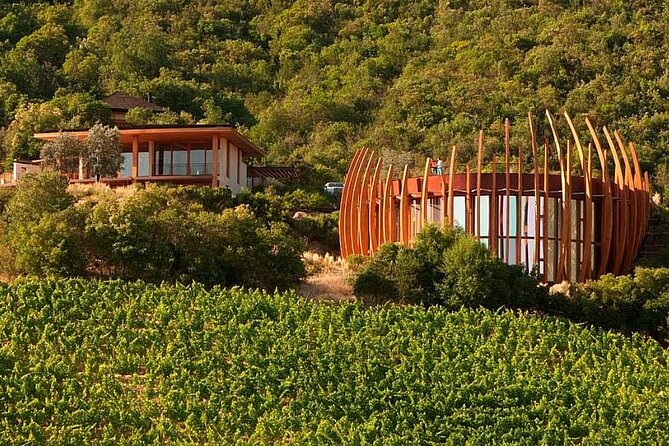 Colchagua Valley Experience - Viña Montes, a major name in Chilean wine