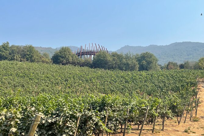 Colchagua Valley Private Tour: Montes + Clos Apalta - Clos Apalta and the quiet logic of gravity