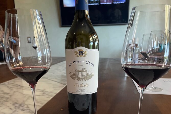 Colchagua Valley Private Tour: Montes + Clos Apalta - Lunch at Rayuela in Viu Manent