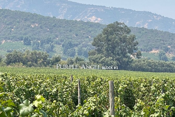 Colchagua Valley Private Tour: Montes + Clos Apalta - Private transport and the importance of flexibility