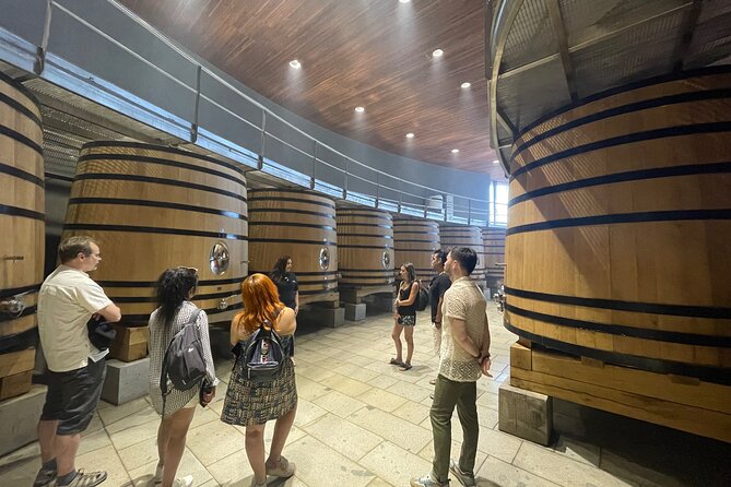 Colchagua Valley Private Tour: Montes + Clos Apalta - Who will enjoy this wine day most