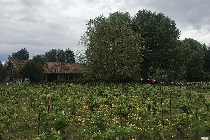 Colchagua Valley - Maipo and Cachapoal: the route gives you useful context