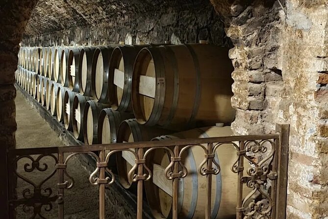 Concha y Toro semi-private tour with 3 wine tastings - The ride from your hotel to Pirque