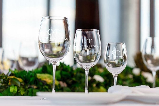 Concha y Toro Vineyard - What the Concha y Toro visit is really like