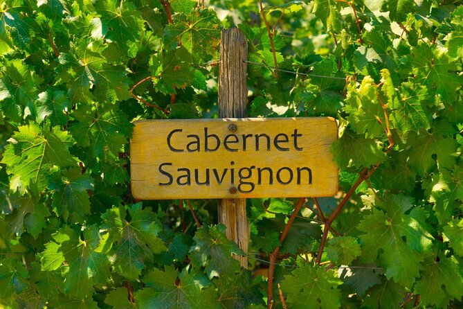 Concha y Toro Vineyard - Three tastings in a personalized glass