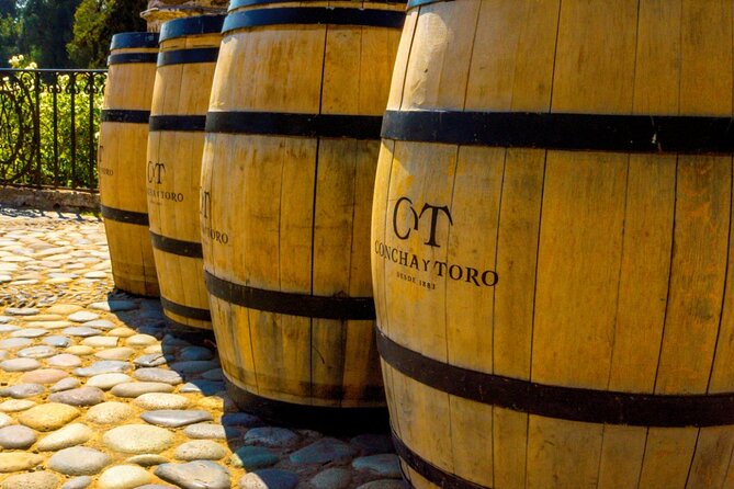 Concha y Toro Vineyard - Time at the wine shop
