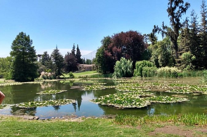 Concha y toro vineyard tour - What $118.43 buys you
