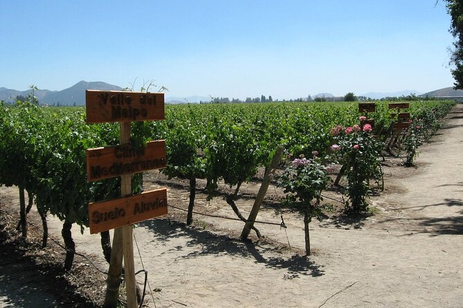 Concha y toro vineyard tour - How long the half-day really feels