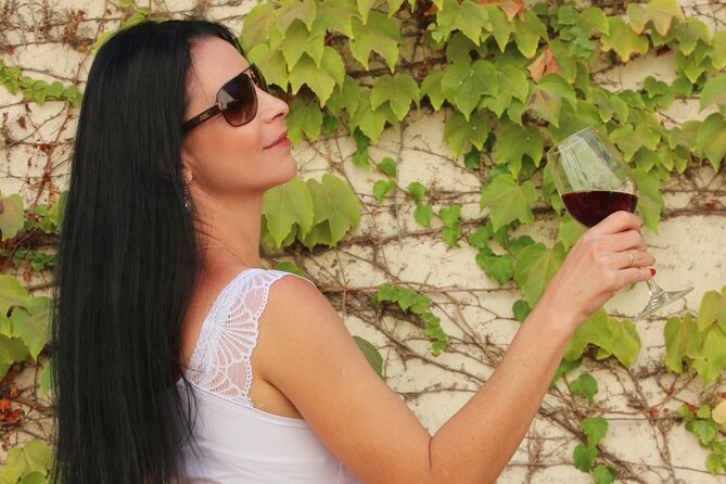 Concha y Toro Vineyard Traditional Tour - Walking through Concha y Toro for about two hours