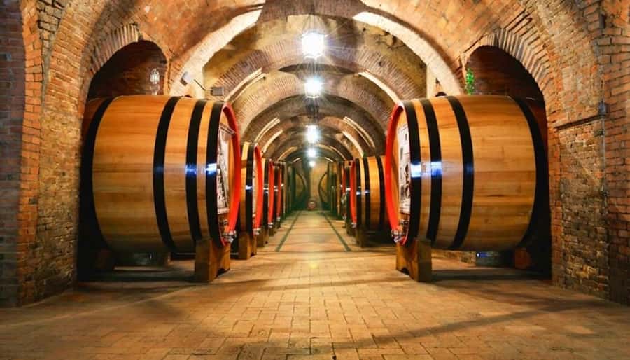 Concha y toro Wine tour - Key points to know before you book