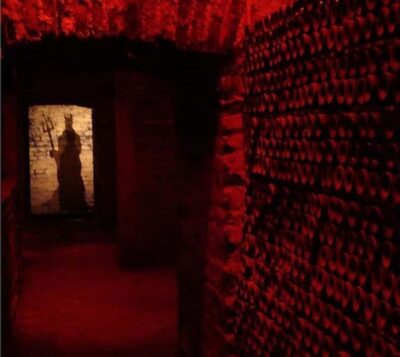 Concha y toro Wine tour