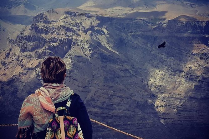 Condor watching tour at the Andes + Artisan Village in Santiago - Key points to know before booking