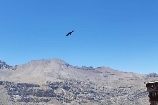 Condor watching tour at the Andes + Artisan Village in Santiago - What the small group means for the day