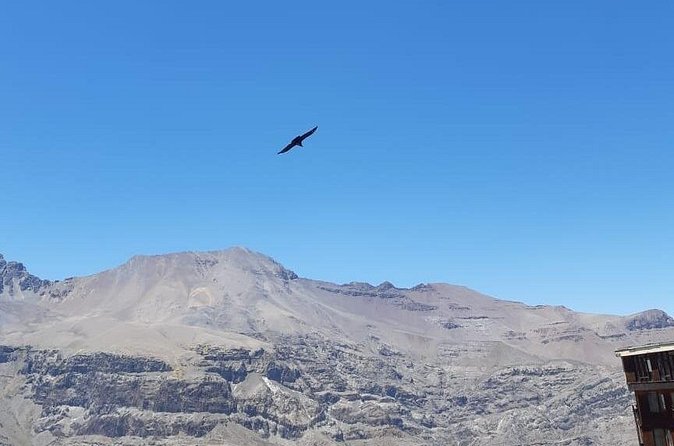 Condor watching tour at the Andes + Artisan Village in Santiago - Price, timing, and overall value